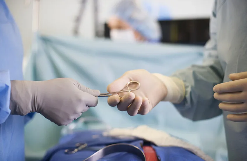 From University of Pittsburgh: Revolution in Organ Transplantation Frees Patients from Immunosuppressants