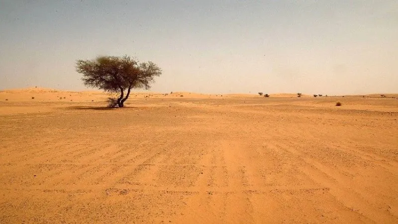 تقرير صحفي يكشف تفاصيل قواعد عسكرية أجنبية سرية في الغرب العراقي