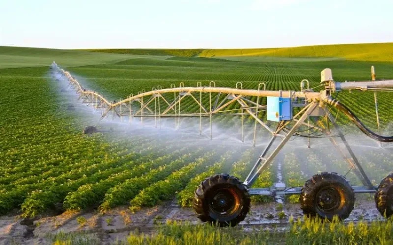 Agriculture Ministry Boosts Summer Cultivation Areas to 1.8 Million Dunams