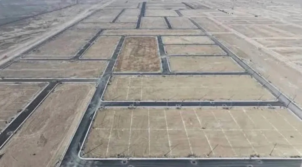 Specialized Committees Formed for Million Housing Plot Initiative Land Identification and Distribution Controls