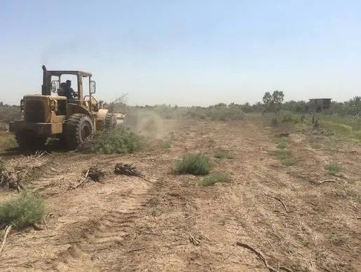 لجنة برلمانية تستعد لمناقشة قانون تحويل البساتين والأراضي الزراعية ببغداد