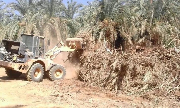 الاستخبارات العراقية تفكك شبكة تزوير سندات وأراضٍ زراعية في بغداد