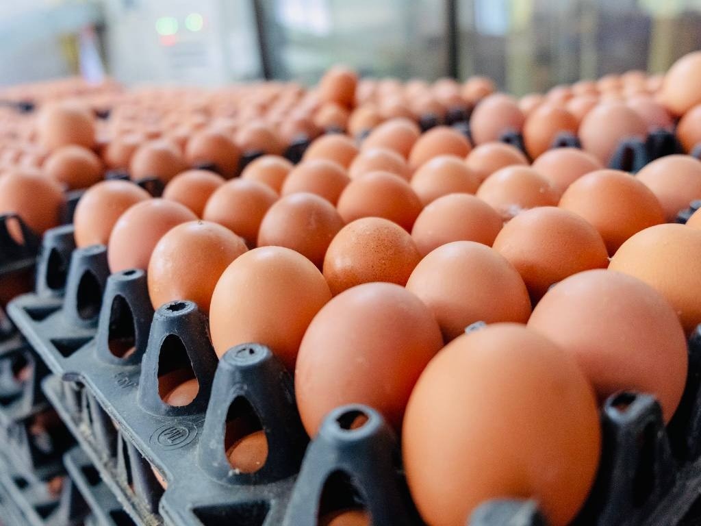 توجهات حكومية لخفض أسعار المواد الغذائية قريباً