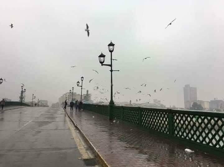 طقس العراق: انحسار تدريجي للأمطار الليلة وترقب موجة جديدة الثلاثاء القادم